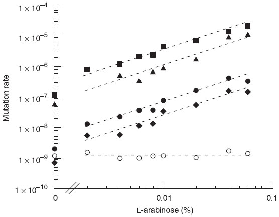 Скорость мутирования у генно-модифицированной бактерии в зависимости от концентрации арабинозы в среде. Черными значками показаны разные типы мутаций. Белые кружки — контроль (бактерия с «испорченным», неактивным вариантом гена dinB). Рис. из статьи в Nature Genetics