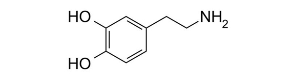Дофамин — производное аминокислоты дигидроксифенилаланина (ДОФА) — важнейший нейромедиатор, участвующий в так называемой «системе награды»