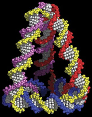 Схема твердой пирамидальной наноконструкции из ДНК. Каждая из четырех составляющих ее цепочек ДНК выделена своим цветом (рис. Goodman et al./Science с сайта www.sciencenews.org)