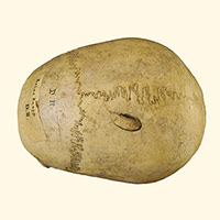 Археологические свидетельства вооруженного насилия