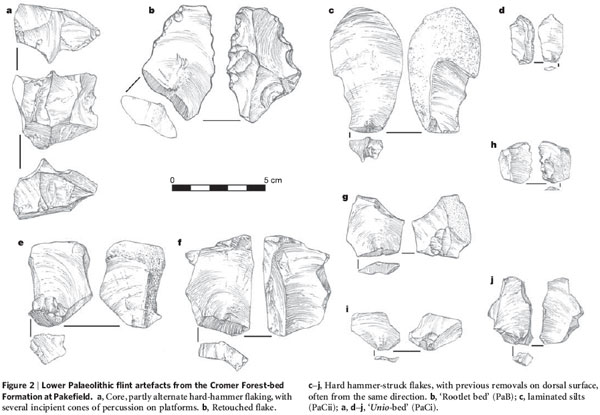 Раннепалеолитические кремневые орудия из Пейкфилда (рис. из статьи в Nature)