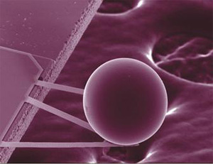 Микроскопический незаряженный металлический шарик притягивается к подложке за счет эффекта Казимира (изображение с сайта physicsweb.org)