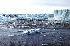 Фото с сайта derstandard.at