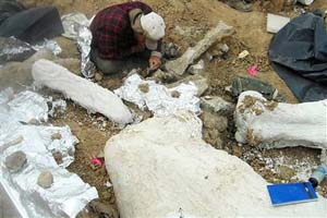 Фото с сайта msnbc.msn.com