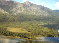 Фото с сайта www.rybolov.ru