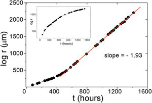 Рост колоний клеток НТ-29 (изображение с сайта www.biophysj.org)