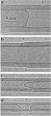 Поочередное исчезновение внутренних и внешних слоев нанотрубки при электрическом пробое (фото с сайта www.physics.bc.edu)