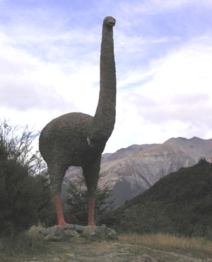 Примерно так выглядели птицы моа (изображение с сайта darkwing.uoregon.edu)