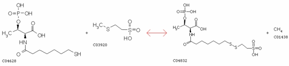 Завершающий этап метаногенеза у метаногенных архебактерий. Фермент, катализирующий данную реакцию, есть только у этих микроорганизмов