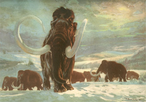 Мамонт. Картина Зденека Буриана (изображение с сайта evolbiol.ru)