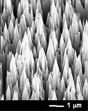 Электронная микрофотография структуры поверхности, созданной в UCLA (фото с сайта www.aip.org)