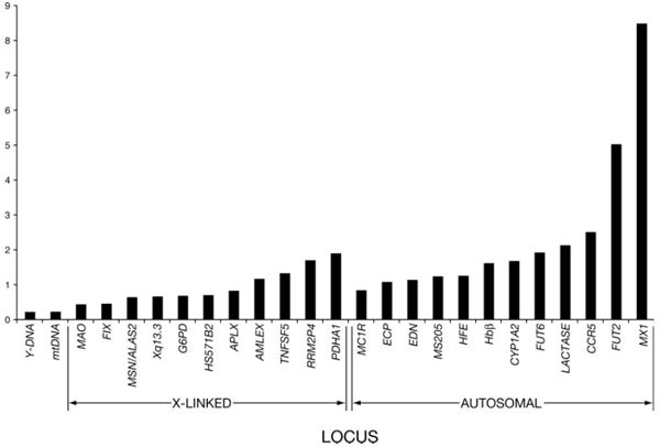 Время «схождения» отдельных участков человеческой ДНК в одну точку в прошлом, определенное методом молекулярных часов (для калибровки использовалось время разделения линий человека и шимпанзе — 6 млн лет назад). Левые два столбика — Y-хромосома и мтДНК, «сходящиеся» раньше всех — примерно 150 тыс. лет назад. Вторая группа — участки, расположенные на X-хромосоме. Третья — на других хромосомах (аутосомах). Время по вертикальной оси в млн лет. Рис. из статьи в Yearbook of physical anthropology