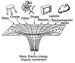 Согласно вычислениям Стивена Хокинга, черная дыра должна быть универсальным уничтожителем информации: любое попавшее в нее тело она преобразует в одинаково беспорядочное излучение (изображение с сайта nonlocal.com/)