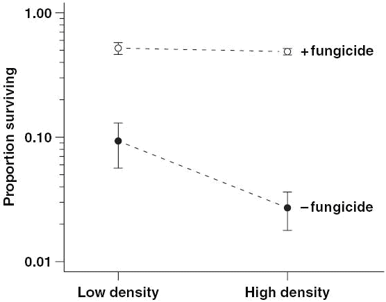 Зависимость доли выживших проростков Sebastiana от плотности их популяции при обработке фунгицидом (+ fungicide) и без обработки (– fungicide). Обратите внимание на то, что шкала по ординате — логарифмическая. Рисунок из статьи: Bell et al., Ecology Letters. 2006. V. 9. P. 569–574