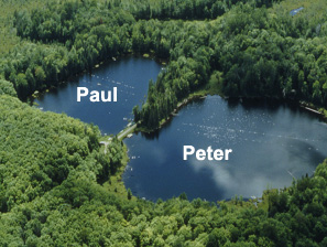 Озера Питер и Пол (Пётр и Павел) в США, на которых, в частности, проводились исследования. Фото с сайта www.ecostudies.org