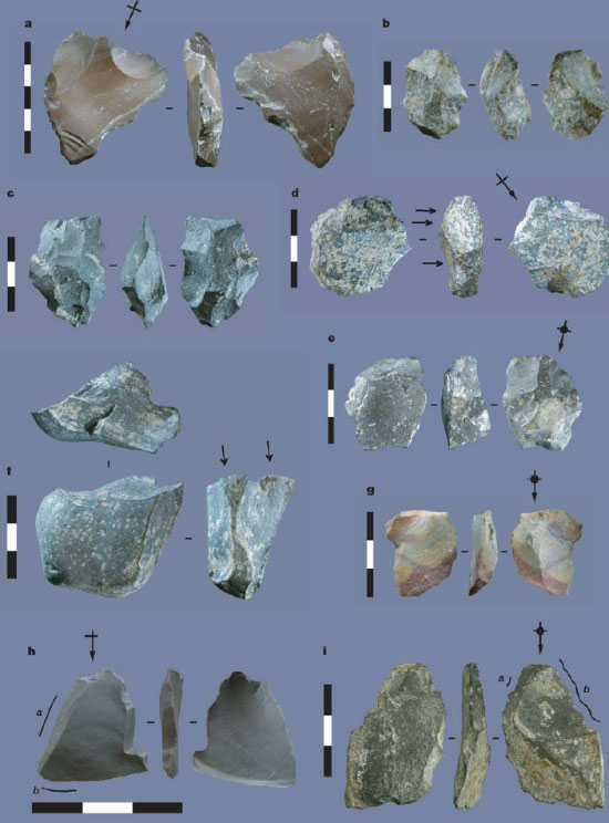 Орудия древних обитателей Флореса (730–950 тысяч лет назад). Фото из статьи в Nature