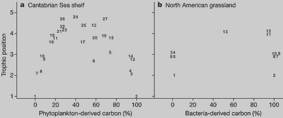 Зависимость высоты трофического уровня, занимаемого отдельными видами или (что чаще) группами видов, от распределения пищи, поступающей с первого уровня по одному из двух «каналов». В случае а (экосистема шельфа в Бискайском заливе близ побережья Испании) на оси Х отложена доля органического вещества, образованного фитопланктоном. Альтернативный канал начинается с детрита — взвешенного неживого органического вещества, которое сначала должно утилизироваться бактериями. В случае b (экосистема степного участка в Северной Америке) на оси Х отложена доля органического вещества, поступающая в трофическую сеть от бактерий (альтернативный канал в данном случае — органическое вещество грибов). Цифрами на поле обозначены разные виды или группы видов, рассматриваемые в качестве элементов трофической системы. Например, на панели a 26 — это тунец, 24 — мелкая мерлуза, 25 — крупная мерлуза, 7 — полихеты, 4 — крупный зоопланктон, 14 — макрель. На панели b 1 — это грибы, 2 — бактерии, 6 — нематоды, питающиеся грибами, 11 — хищные нематоды, 13 — хищные клещи. Видно (особенно хорошо на панели a), что чем выше положение организмов в трофической сети, тем чаще они используют оба «канала». Аналогичные зависимости получены для всех восьми обследованных экосистем. Изображение из обсуждаемой статьи в Nature