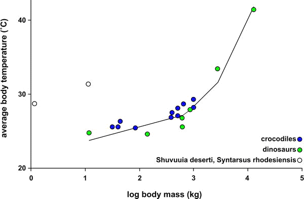 Зависимость средней температуры тела динозавров (зеленые кружки) и ныне живущих крокодилов (синие кружки) от средней массы тела животного в период максимального роста. Пустые кружки соответствуют двум динозаврам, которые не приняты в расчет. Один из них (Shuvuuia deserti) покрыт перьями, а другой (Syntarsus rhodensis) просто выпадает из общей зависимости. Обратите внимание на то, что по оси Х использована логарифмическая шкала. Рисунок из обсуждаемой статьи в PLoS Biology