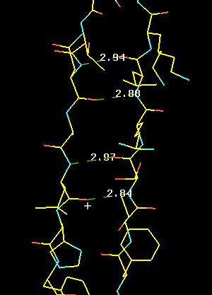 Водородные связи определяют строение и свойства многих веществ — от обычной воды до биологических макромолекул. Оказывается, динамику водородных связей можно изучать, измеряя зависимости силы трения скольжения от скорости (изображение с сайта ruppweb.dyndns.org)
