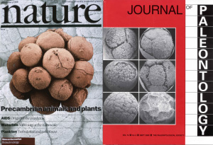 Так журналы Nature и Paleontology приветствовали исследования эмбрионов Доушаньтуо. Фото с сайта проф. Shuhai Xiao www.geol.vt.edu