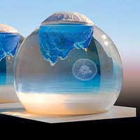 Тайная мягкая жизнь