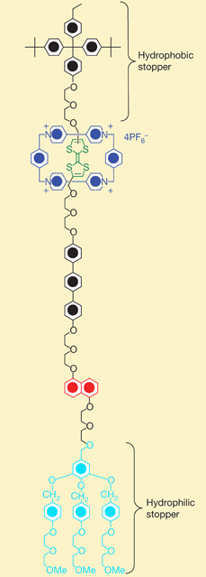 Положительно заряженное макроциклическое соединение (изображено синим цветом) «сидит» на тетратиафульваленовом (TTF) фрагменте (зеленый) в зоне минимальной проводимости — эквивалент «нуля» логического электронного элемента. При окислении TTF этот фрагмент приобретает положительный заряд, кольцо макроцикла отталкивается и перемещается «вниз» к диоксинафталиновому фрагменту (красный). В этом состоянии проводимость молекулярного прибора максимальна — соответствует «единице» логического элемента (рис. с сайта pubs.rsc.org)