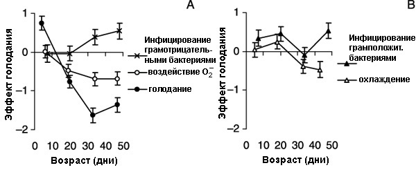 Графики показывают, как соотносятся различные физиологические показатели устойчивости мушек, содержавшихся на обычном и урезанном в два раза рационе. По оси ординат отложен показатель отношения устойчивости нормально питающихся мушек к устойчивости малоежек. Устойчивость оценивали по доле умерших мушек. Поэтому график в положительной области означает, что нормально питающиеся мушки при тех или иных стрессах умирают чаще, чем малоежки. Как мы видим, графики для старших возрастных групп уходят в отрицательную область. Следовательно, мухи-малоежки с возрастом труднее переносят стрессовые воздействия. Это не относится к устойчивости к бактериям — у малоежек она с возрастом увеличивается. (График из цитируемой статьи в Aging Cell)