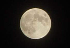 Полутеневое затмение идет вовсю (23:46, МСК), но невооруженным глазом его не видно. Камера SONY CYBERSHOT, F = 48,5 мм (5-кратный Zoom), 1/100 сек, ISO-100. Фото: ©А.Козловский