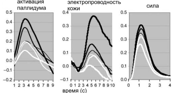 Изменения активности паллидума, электропроводности кожи и силы сжатия силомера после демонстрации фунта (черные линии) или пенни (белые линии). Толщина линии соответствует времени демонстрации монетки: толстая линия — 100 мс, средняя — 50 мс, тонкая — 17 мс. Рис. из обсуждаемой статьи в Science