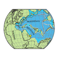 <b>Рис. 1.</b> Схема геологического разреза морских карбонатных осадочных пород конца перми — начала триаса в Объединенных Арабских Эмиратах
