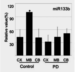 На рисунке показана концентрация miR-133b в различных отделах мозга у больных паркинсонизмом (PD) и у здоровых людей (control): СХ — кора больших полушарий, МВ — средний мозг, СВ — мозжечок,. Хорошо видно, насколько содержание этой специфической микроРнк в среднем мозге ниже у больных людей. Рису. из обсуждаемой статьи в Science