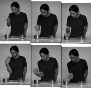 Дизайн первой серии экспериментов: вверху — «целенаправленное» действие, внизу — «случайное». Фото из обсуждаемой статьи в Science