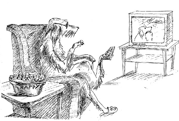 С развитием методов когнитивной этологии павловские эксперименты стали сюжетами триллеров для собак. Рисунок П. Рябко из книги «Animal Intelligence: From Individual to Social Cognition»