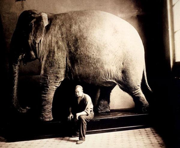 Таксидермист Филипп Евтихиевич Федулов (1881–1961), всю свою жизнь проработавший в Дарвиновском музее. На снимке 1940-х годов он снят на фоне изготовленного им чучела индийского слона. (О Ф.Е.Федулове см.: В.А.Удальцова. «Ремесло или искусство».) Из книги «Государственный Дарвиновский музей»