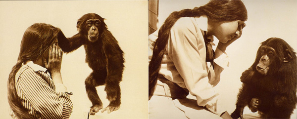 Надежда Ладыгина-Котс и шимпанзе Иони. Слева: обезьяна выражает сочувствие плачущей Надежде Ладыгиной-Котс. Справа: Иони испытывает волнение и сжимает кулачки. Из собрания фотоматериалов Дарвиновского музея. Воспроизведено в книге: «Государственный Дарвиновский музей»