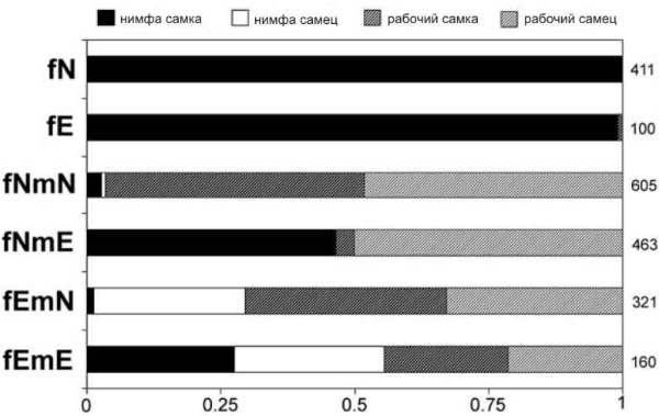 Распределение каст и полов в потомстве партеногенетических нимфоидов (fN), партеногенетических эргатоидов (fE), в потомстве от скрещивания самки и самца — нимфоидов (fNmN), самки-нимфоида с самцом-эргатоидом (fNmE), самки-эргатоида с самцом-нимфоидом (fEmN), самки и самца — эргатоидов (fEmE). Рис. из обсуждаемой статьи в Science