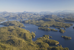 Так выглядит Бротонский архипелаг (Broughton Archipelago) в Британской Колумбии, недалеко от города Принс-Руперт, где расположено множество лососевых хозяйств и где проводилось данное исследование. Фото с сайта dalnews.dal.ca