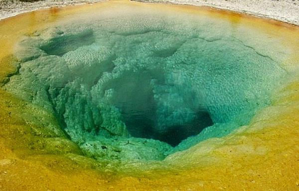 В горячих источниках могут жить и цианобактерии, и пурпурные, и серные бактерии — их многообразие и создает удивительную палитру этих необычных водоемов. Возможно, именно такие горячие водоемы населяли первые жители нашей планеты. (На снимке — один из горячих источников Йеллоустонского национального парка.) Фото с сайта www.mrfs.net