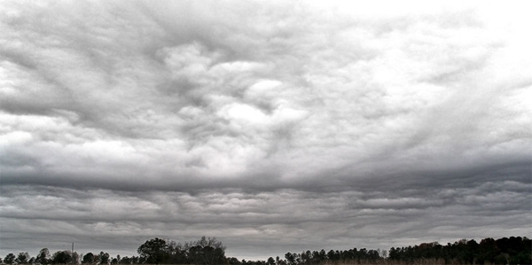 Образование первичных кристаллов льда в облаках и последующие снегопады связаны с присутствием в атмосфере живых микроорганизмов. На снимке — слоисто-дождевые облака (Nimbostratus, Ns), которые летом приносят нам дождь, а зимой снег. Фото с сайта commons.wikimedia.org