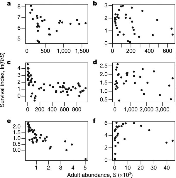 Зависимость величины индекса выживаемости молоди от численности взрослых особей для разных видов рыб. Горизонтальная шкала — это тысячи особей. a — треска (северная Атлантика, район Ньюфаундленда); b — серебристый хек (средняя Атлантика близ побережья Америки); c — сельдь (Северное море); d — сардина (Калифорния, США); e — атлантический лосось (сёмга) (Новая Шотландия, Канада); f — горбуша (Аляска, США). Особенно велика дисперсия (разброс данных) выживаемости в случае малочисленных популяций (точки, прижатые к левой оси). Рис. из обсуждаемой статьи в Nature