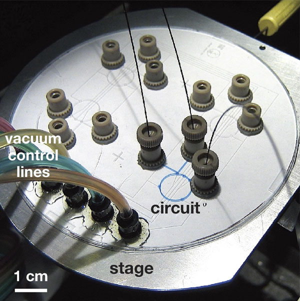 Первая в мире установка, позволяющая осуществлять искусственную эволюцию размножающихся молекул РНК под контролем компьютера. Фото из обсуждаемой статьи в PLoS Biology