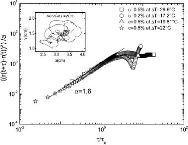Рис. 4. Зависимость среднеквадратичного смещения вихря от времени для различных температурных градиентов и различных концентраций мыльного раствора. На вставке: траектория движения вихря. Изображение из обсуждаемой статьи в Phys. Rev. Lett.