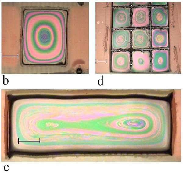 Рис. 2. b — вращающаяся мыльная плёнка; интерференция возникает вследствие неоднородной толщины плёнки. c — граничные условия также играют существенную роль: если ячейка представляет собой достаточно вытянутый прямоугольник, то возникают два вихря с одинаковым направлением вращения (см. видео). d — плёнка, разделенная на несколько частей изолирующим слоем хлопковой нити; во всех ячейках угловая скорость и направление вращения вихрей одинаковые, что подтверждает независимость от электрохимических процессов на границе с медными контактами. Длина масштабной линейки на всех трех рисунках 1 см. Изображения из обсуждаемой статьи
