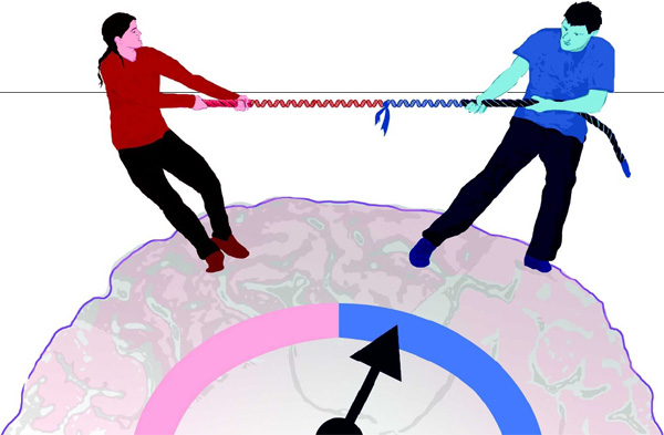 Согласно новой гипотезе, причины многих психических заболеваний кроются в своеобразном «перетягивании каната», в которое вовлечены в человеческом организме гены, унаследованные от отца и матери. Рис. из обсуждаемой статьи в Nature