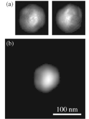 Рис. 3. (a) — реконструированные изображения золотой частицы, полученные независимо друг от друга методом HIO (см. пояснения в тексте); (b) — окончательно «усредненное» изображение (распределение электронной плотности внутри) золотой частицы. Изображение из обсуждаемой статьи в Phys. Rev. Lett.