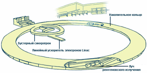 Рис. 1. Схематическое изображение синхротрона ESRF. Рис. с сайта www.esrf.eu