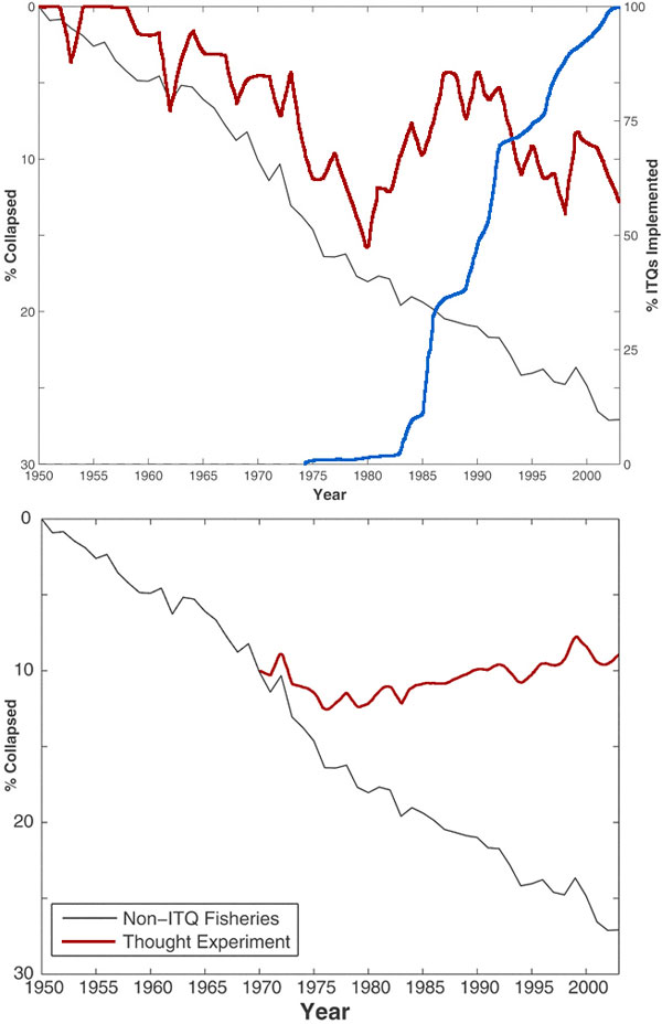 Серой линией показана доля деградировавших хозяйств, в которых уловы уменьшились до 10% и ниже от максимально зафиксированного вылова. В этих хозяйствах не практиковались разделенные квоты для промышленности и частных хозяйств. На левом графике красная линия показывает долю деградировавших хозяйств, в которых реализовывались разделенные квоты; синяя линия — число хозяйств с разделенными квотами. На правом графике красная линия показывает результаты мысленного эксперимента: что было бы, если все хозяйства применяли с 1970 года разделенные квоты. Рис. из обсуждаемой статьи в Science