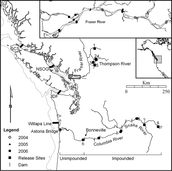 Береговая линия части Британской Колумбии (Канада), где проводились исследования. Серо-голубая тонкая линия — это положение 200-метровой шельфовой зоны. Тонкие линии поперек речных русел обозначают положение плотин. Жирные линии — это КПП учета акустических мальковых меток. Черные квадратики — это места выпуска мальков-сеголетков, а остальные метки — места учета в разные годы. Схема из обсуждаемой статьи Welch et al. в PLoS Biology