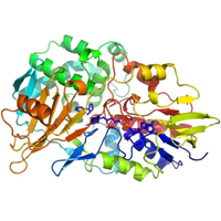 Рис. 1. Модифицированный фермент, способный связываться с альбумином, успешно блокирует психоактивное действие никотина