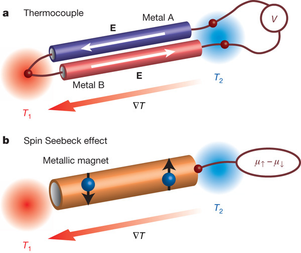 a — изображение термопары, состоящей из двух разнородных металлов А и B, соединенных друг с другом. Металлы имеют разные коэффициенты Зеебека, поэтому напряжение, возникающее между «холодными» концами термопары, прямо пропорционально разности температур между «горячим» и «холодным» концами. b — объяснение спинового эффекта Зеебека. В металлическом магните электроны проводимости в состояниях «спин вверх» и «спин вниз» имеют разные коэффициенты Зеебека. Если к магниту приложить температурный градиент, то спиновый ток будет пропорционален разности температур на концах. Рис. из обсуждаемой статьи в Nature